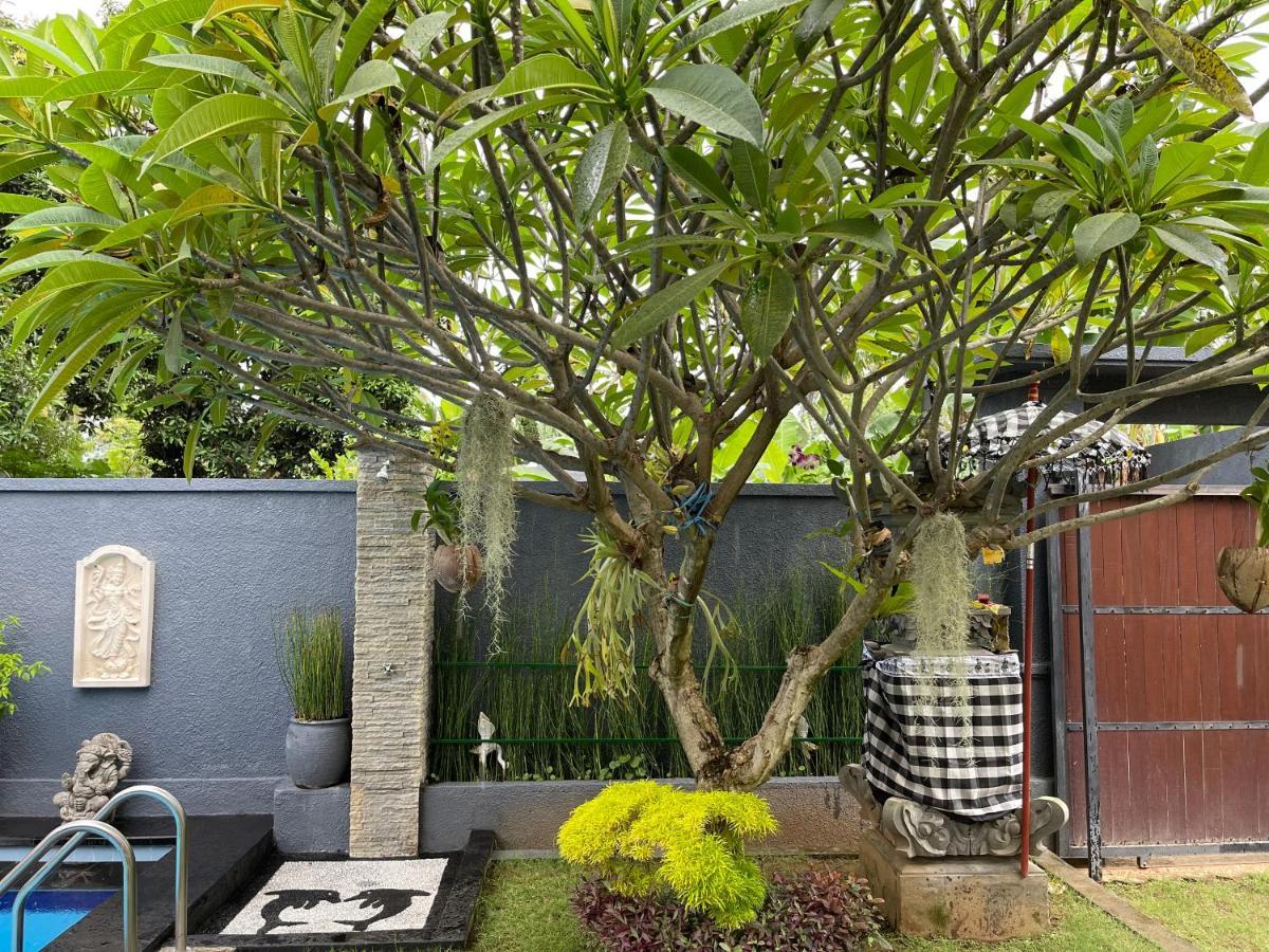Готель Mias Jungle House Ловіна Екстер'єр фото